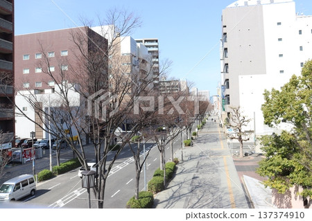堺市堺區堺東站附近的大莊寺街 堺市堺區堺東站附近的大莊寺街 137374910