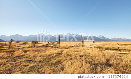 The landscape of Grand Teton National Park, USA. 137374934