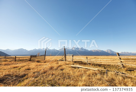The landscape of Grand Teton National Park, USA. 137374935