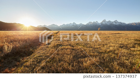 The landscape of Grand Teton National Park at sunrise, USA. The landscape of Grand Teton National Park at sunrise, USA. 137374937