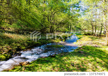 長野縣三沙加池的翠綠景色 137374971