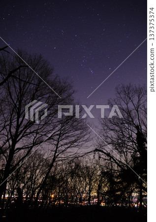 從羽黑山眺望宇都宮市的夜景和繁星點點的夜空 從羽黑山眺望宇都宮市的夜景和繁星點點的夜空 137375374