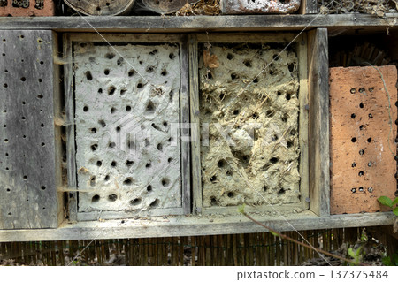 Bee hotel for species conservation Bee hotel for species conservation 137375484