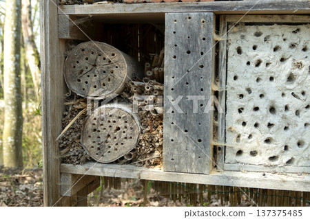 Bee hotel for species conservation Bee hotel for species conservation 137375485