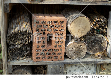 Bee hotel for species conservation 137375504