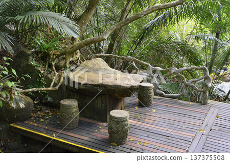 Stone table and carved stone chairs in form of barrels in a tropical park on Hainan Island in China 137375508