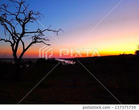 Botswana Chobe National Park Quiet sunrise scenery 2 137375739