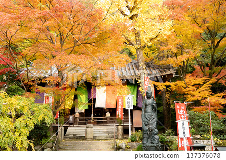 Imakumano Kannonji Temple (15th on the pilgrimage to the 33 temples of the Saigoku Kannon Pilgrimage) in Higashiyama, Kyoto (Kyoto) Daishido (Kannon statue preventing dementia) and autumn leaves Imakumano Kannonji Temple (15th on the pilgrimage to the 33 temples of the Saigoku Kannon Pilgrimage) in Higashiyama, Kyoto (Kyoto) Daishido (Kannon statue preventing dementia) and autumn leaves 137376078
