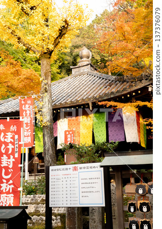 京都東山今魔野觀音寺(西國三十三寺巡禮的第十五寺) 京都東山今魔野觀音寺(西國三十三寺巡禮的第十五寺) 137376079