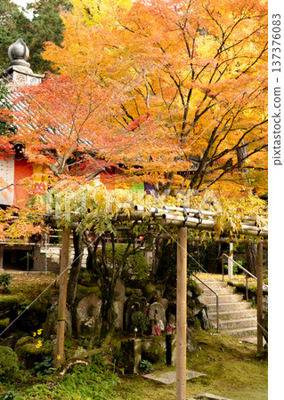 Imakumano Kannonji Temple (15th temple on the pilgrimage to the 33 temples of the Western Provinces) in Higashiyama, Kyoto Imakumano Kannonji Temple (15th temple on the pilgrimage to the 33 temples of the Western Provinces) in Higashiyama, Kyoto 137376083