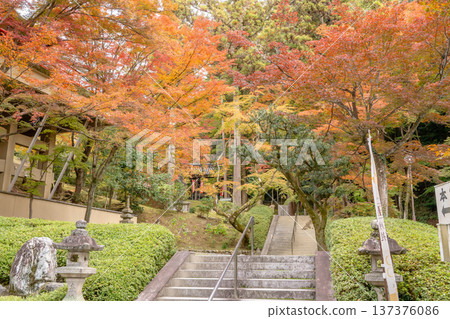京都東山新那智山今熊野觀音寺(西國觀音第十五寺)參道沿線的紅葉 京都東山新那智山今熊野觀音寺(西國觀音第十五寺)參道沿線的紅葉 137376086
