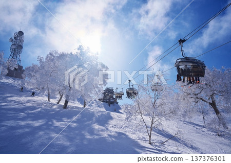 冬季的野澤溫泉滑雪場:劍梨山山頂附近覆蓋著霜雪的森林和山彥四號纜車。 冬季的野澤溫泉滑雪場:劍梨山山頂附近覆蓋著霜雪的森林和山彥四號纜車。 137376301