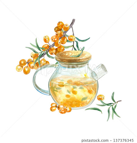 Sea buckthorn tea in a glass teapot with a botanical sprig and ripe berries. Hand drawn watercolor illustration, isolated. For tea label and cafe menu design. 137376345