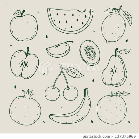 Hand-drawn fruits set  137376969