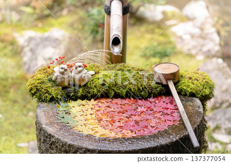京都府長岡京市西山橫國寺（柳谷觀音）的楓園水池（紅葉） 137377054