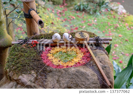 京都府長岡京市西山橫國寺（柳谷觀音）的楓園水池（紅葉） 137377062