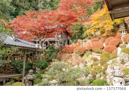京都府長岡京市、西山、橫國寺(柳谷觀音寺)、淨土園、上書院的紅葉 京都府長岡京市、西山、橫國寺(柳谷觀音寺)、淨土園、上書院的紅葉 137377068