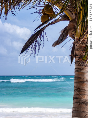 Beach and sea of the Gulf of Mexico. Wallpaper 137377184