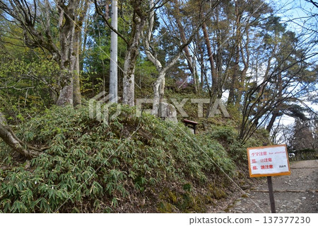 A bear warning sign at the entrance to the walking trail at Shiroyama Park in Takayama City, Gifu Prefecture, Japan 137377230
