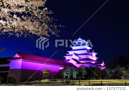 鶴賀城櫻花燈光秀 / 福島縣會津若松市 鶴賀城櫻花燈光秀 / 福島縣會津若松市 137377232