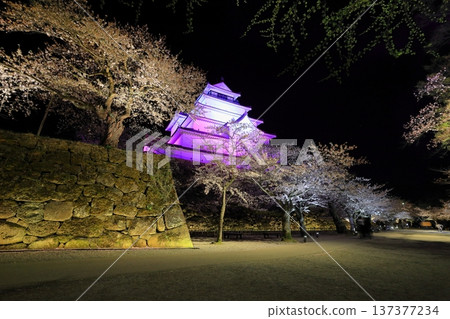 鶴賀城櫻花燈光秀 / 福島縣會津若松市 鶴賀城櫻花燈光秀 / 福島縣會津若松市 137377234