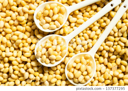 soy beans soy beans 137377295