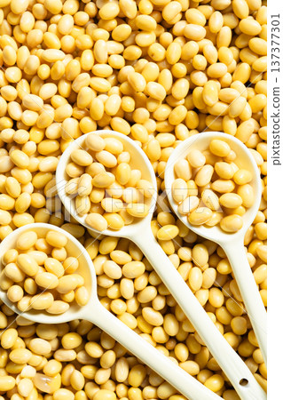 soy beans soy beans 137377301