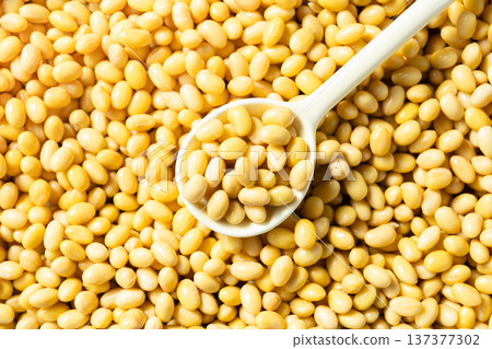 soy beans soy beans 137377302