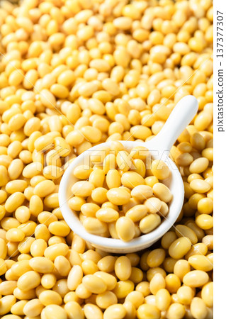 soy beans soy beans 137377307