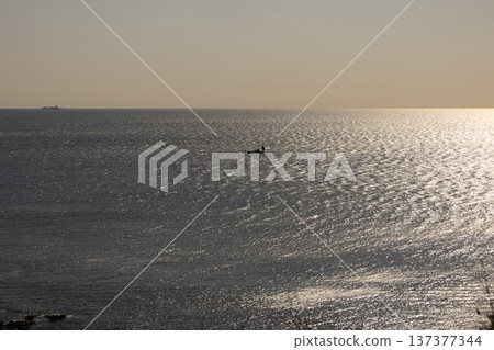 Jogashima Park, January, view from the park 137377344