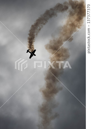 A sudden dive and acrobatic flight reminiscent of a crash. A monotone silhouette against the cloudy sky. 137377370
