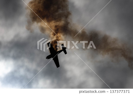 A sudden dive and acrobatic flight reminiscent of a crash. A monotone silhouette against the cloudy sky. 137377371
