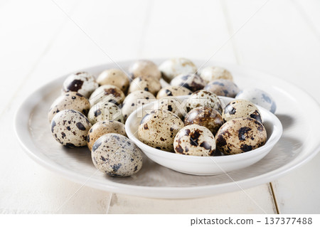 Quail eggs 137377488