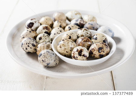 Quail eggs 137377489