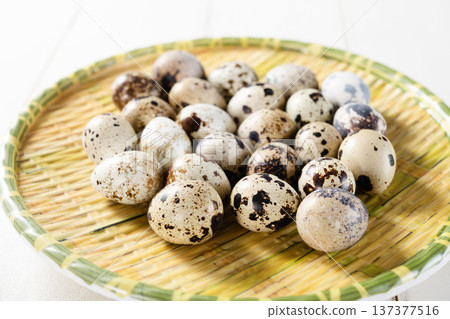 Quail eggs 137377516