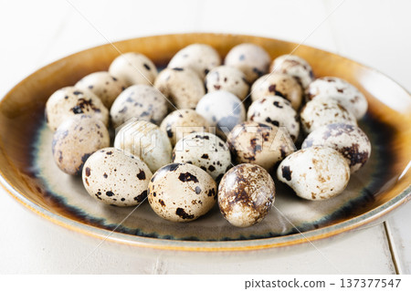 Quail eggs 137377547