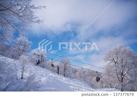 Nozawa Onsen Ski Resort in winter Yamabiko Ford surrounded by the frost-covered forests of Mount Kenashi 137377679