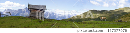 panorama of a tirolean alp 137377976