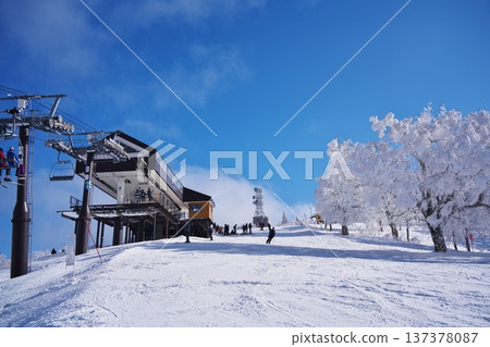 冬季的野澤溫泉滑雪場-劍梨山第二、四峰站,四周環繞著覆滿霜雪的樹木。 冬季的野澤溫泉滑雪場-劍梨山第二、四峰站,四周環繞著覆滿霜雪的樹木。 137378087