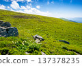 alpine mountain landscape. untouched grass and sharp sandstone on wide meadow. travel background for hiking carpathian alps in summer. temperate climate of transcarpathia. rolling earth day wallpaper 137378235
