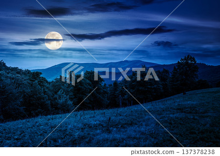 beautiful countryside scenery in summer at night. full moon over lush green grass on alpine meadow. beech forest on the hillside. mysterious view of distant mountain landscape under cloudy sky beautiful countryside scenery in summer at night. full moon over lush green grass on alpine meadow. beech forest on the hillside. mysterious view of distant mountain landscape under cloudy sky 137378238