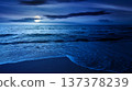 sandy sea beach background on cold summer night. low angle view. full moon over empty seascape scenery with calm waves. beauty seashore wallpaper. mysterious bay photo for advertising 137378239