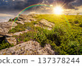 sunny mountain landscape in summer under blue sky at sunset. lush green grass and sharp rocks on steep hillside in evening light. beautiful view of remote place in alpine environment under rainbow 137378244