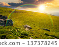 alpine mountain landscape at sunset. untouched grass and sharp sandstone on wide meadow in evening light. travel background for hiking in summer. rolling earth day wallpaper with rainbow 137378245