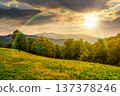 sunset over beautiful countryside scenery in summer. lush green grass on alpine meadow. beech forest on the hillside. scenic view of distant mountain landscape under cloudy sky and rainbow 137378246