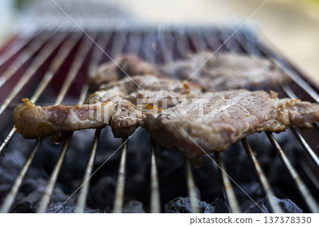 Barbecue Meat On Outdoor Grill, A vibrant close-up of juicy meat on an outdoor grill with glowing charcoal and smoky atmosphere, ideal for food documentary, lifestyle and culinary advertising. Barbecue Meat On Outdoor Grill, A vibrant close-up of juicy meat on an outdoor grill with glowing charcoal and smoky atmosphere, ideal for food documentary, lifestyle and culinary advertising. 137378330