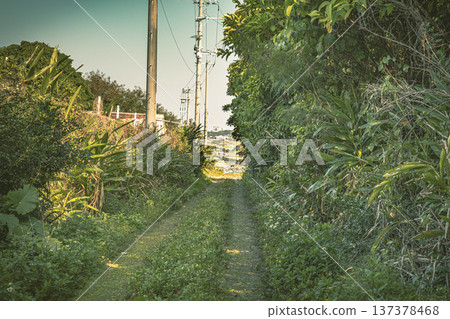 Okinawa scenery 137378468