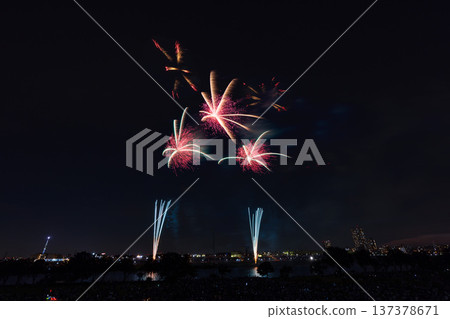 東京葛飾乃涼花火大會 東京葛飾乃涼花火大會 137378671