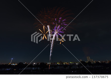 東京葛飾乃涼花火大會 東京葛飾乃涼花火大會 137378675