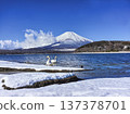 Fresh snow on Lake Yamanaka and swans 137378701